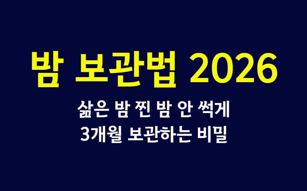 밤 보관법 2026, 삶은 밤 찐 밤 안 썩게 3개월 보관하는 비밀